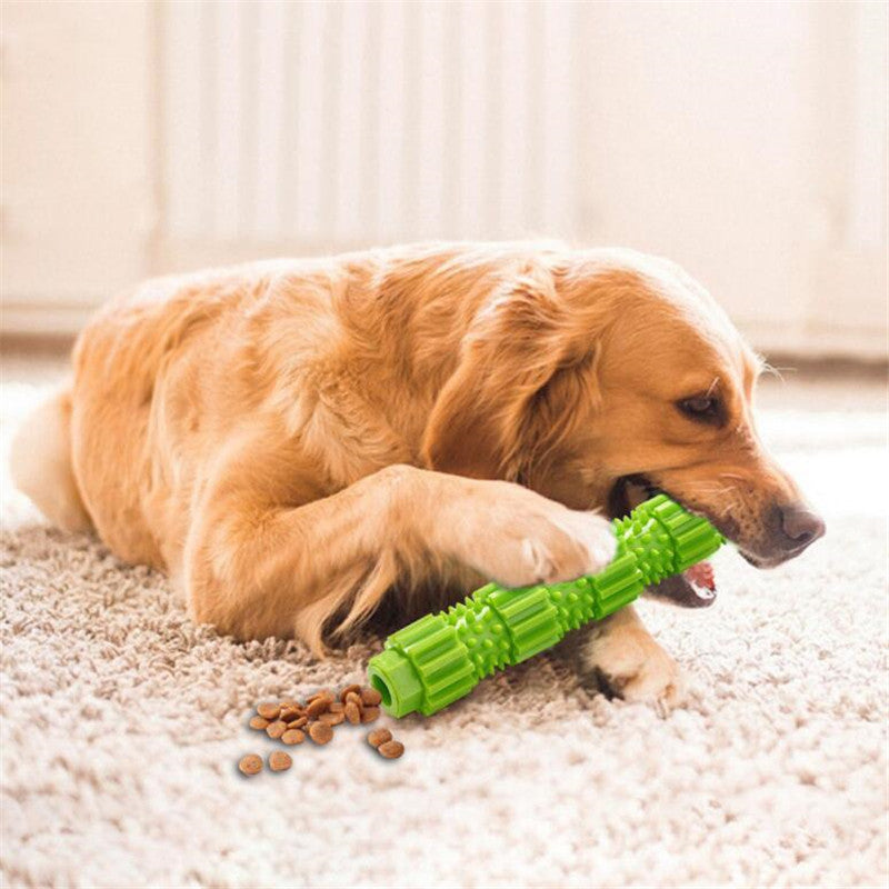 Training nibble toys can put snacks