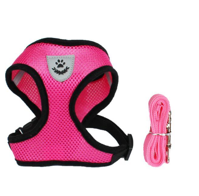 Pet Car Seat Belt Pet Leash