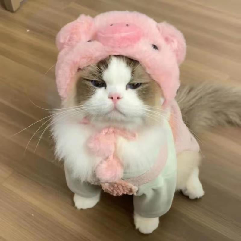 Fashion Personality And Creativity Kitty Hat