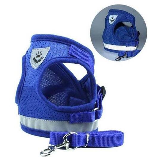 Dog Harness And Leash Set