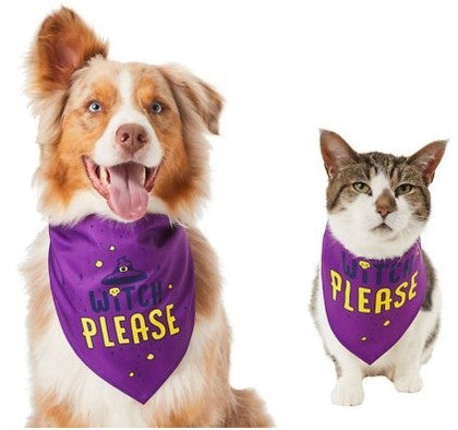 Pet Triangle Scarf Cute Funny Bib Saliva Towel