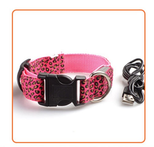 Rechargeable LED Dog Band