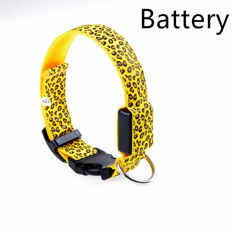 Rechargeable LED Dog Band