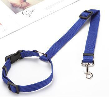 Multicolor Fashion Pet Car Seat Belt Towing Rope