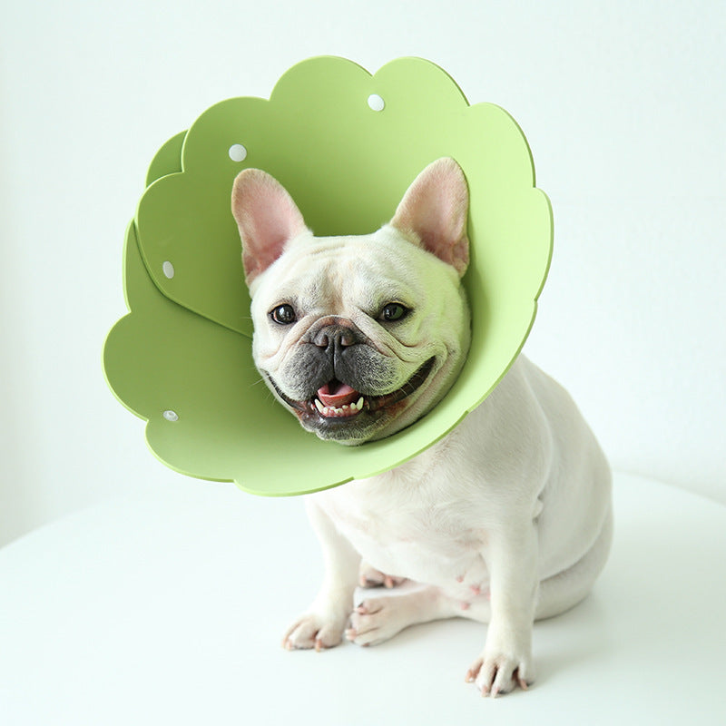 Sunflower Modeling Pet Protection Collar Anti-licking Head Cover