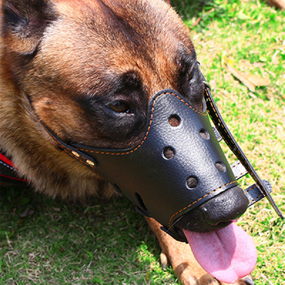 Small Dog Large Muzzle Adjustable Bite Proof