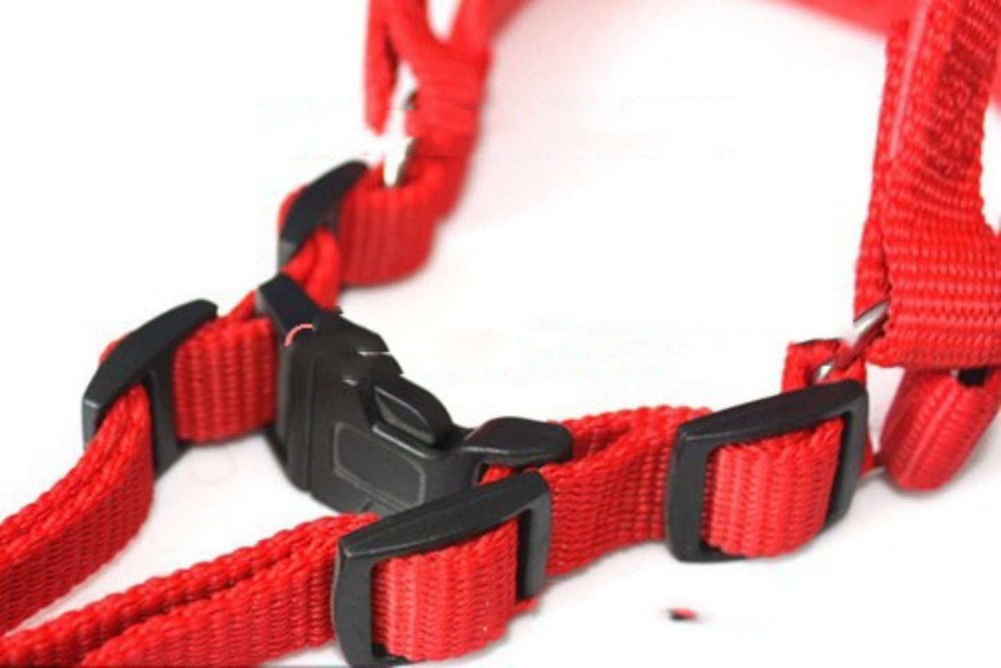 Soft Lining Polypropylene Foam Pet Harness Traction Belt