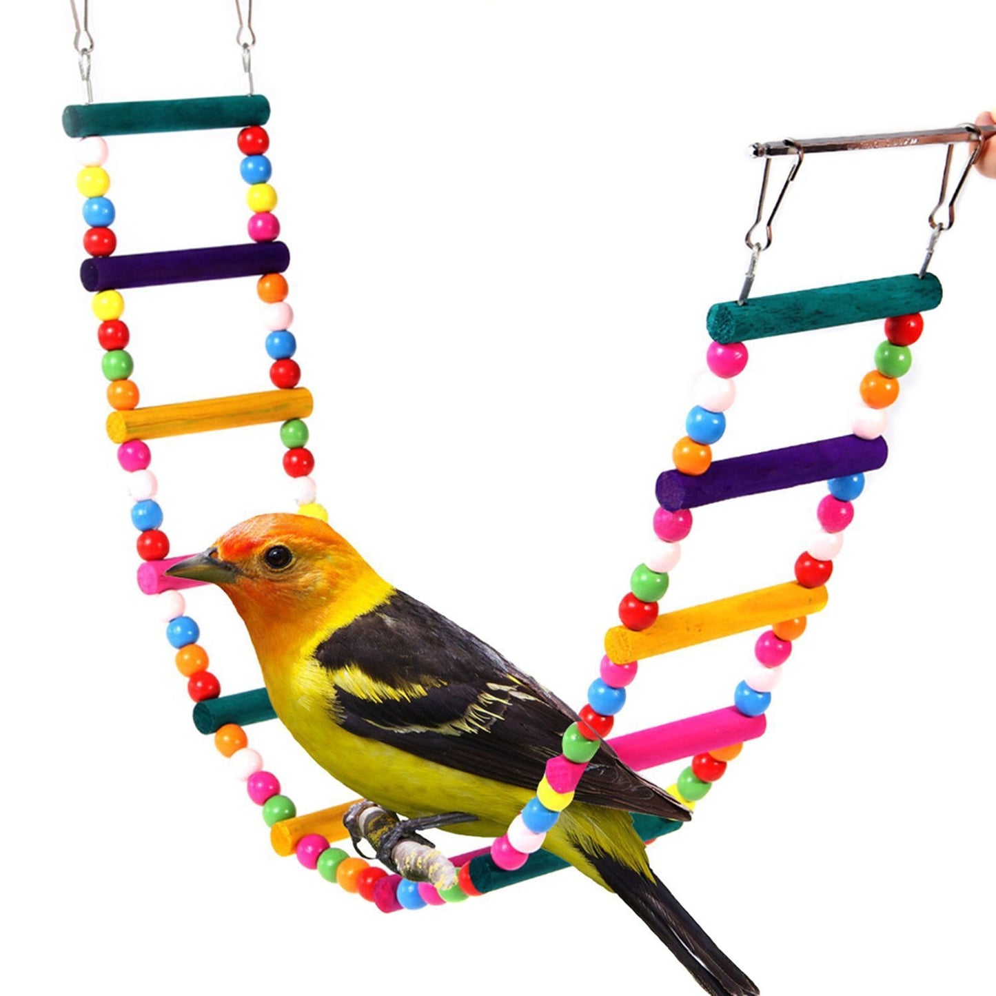 Parrot Colorful Wooden Bead Ladder Rotating Toy