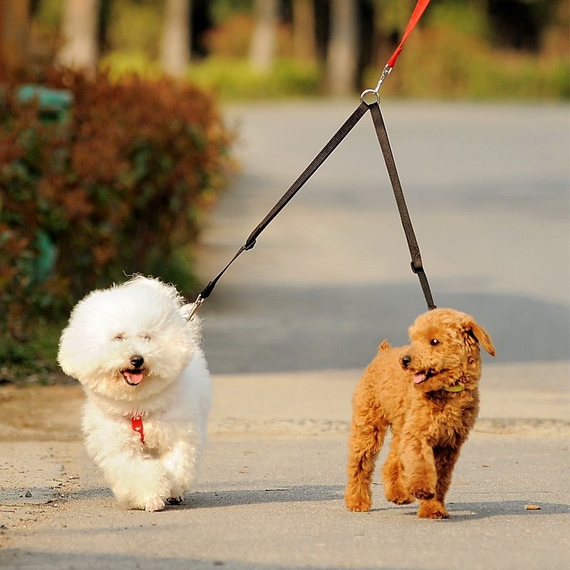 WALK 2 Two DOGS Leash COUPLER Double Twin Lead Walking Leash China