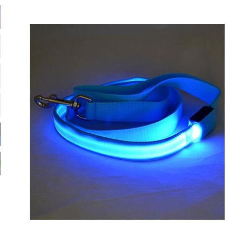 LED Illuminated Traction Nylon Pet Leash