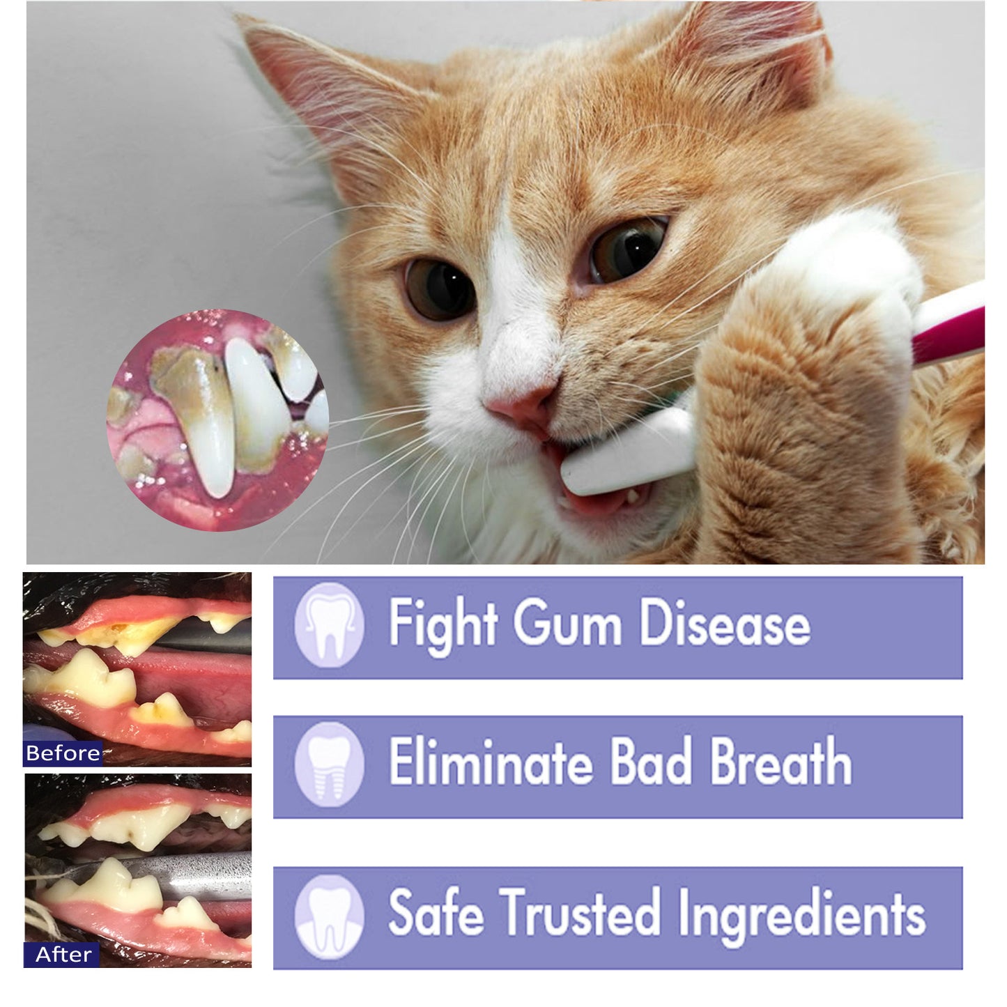 Pet Oral Cleaning Cream Cat And Dog Cleaning Oral Odor