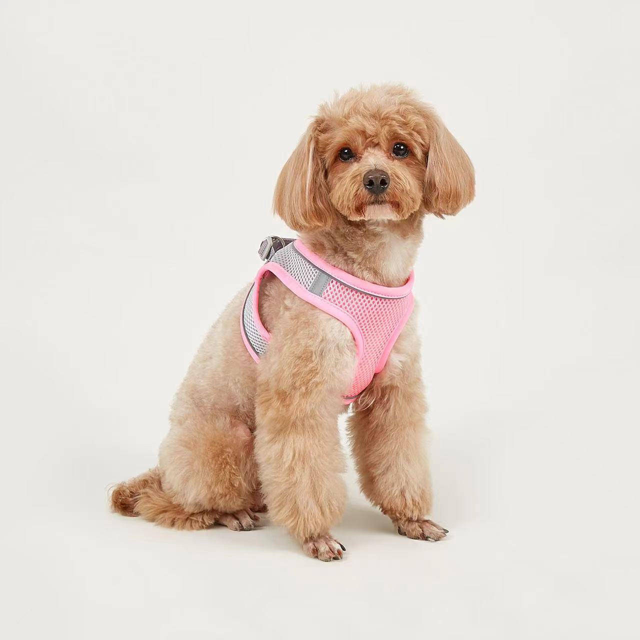 Dog Hand Holding Rope Vest Small Dog Dog Leash Teddy Bichon Breathable Chest Strap Pomeranian Puppy Small Dog Leash