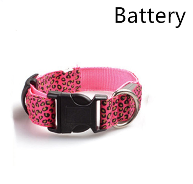 Rechargeable LED Dog Band