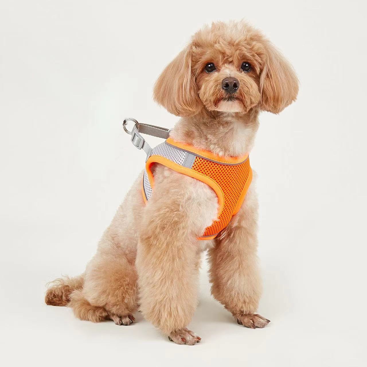 Dog Hand Holding Rope Vest Small Dog Dog Leash Teddy Bichon Breathable Chest Strap Pomeranian Puppy Small Dog Leash