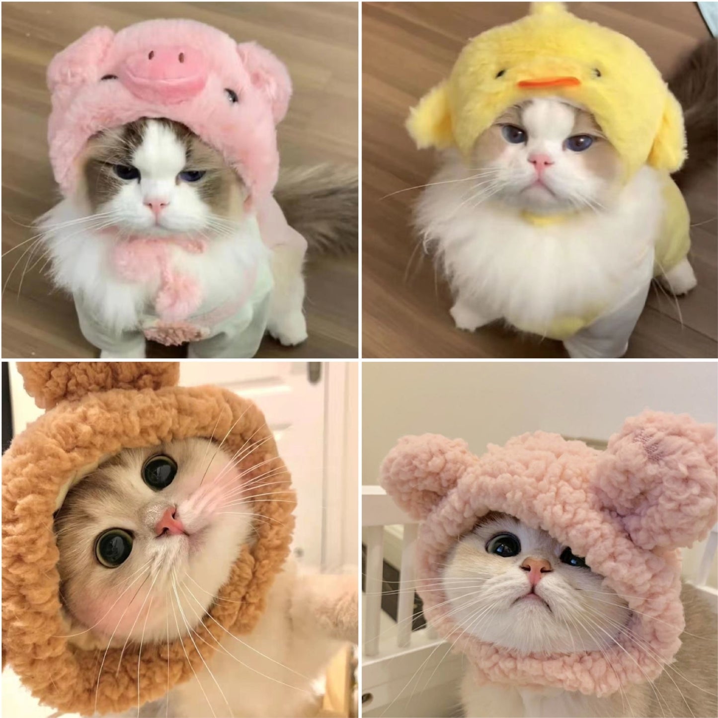 Fashion Personality And Creativity Kitty Hat