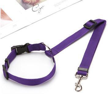 Multicolor Fashion Pet Car Seat Belt Towing Rope