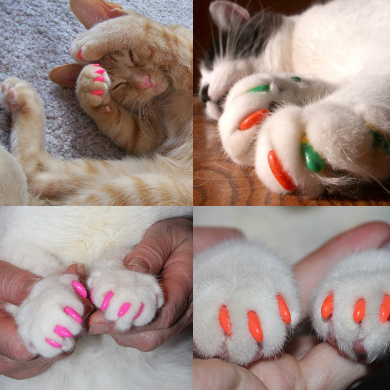 Amazon Set Amazon Cat Nail Caps Pet Nail Set Set Cat Anti-scratch Claw Set