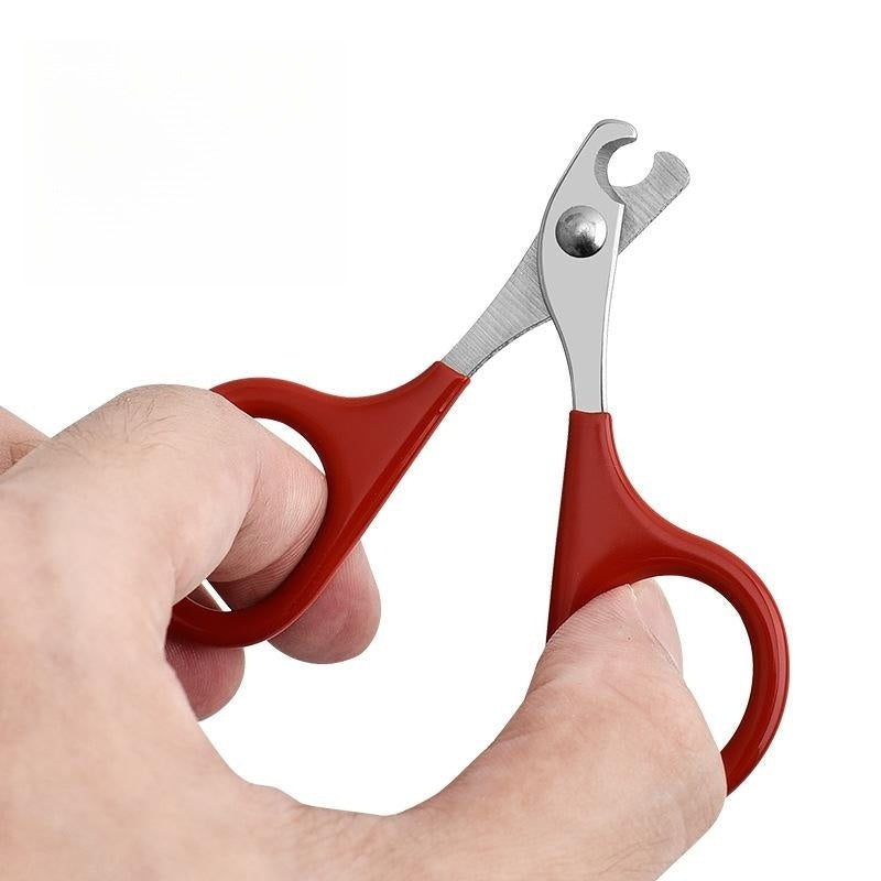 Pet Nail Clipper Small And Medium-sized